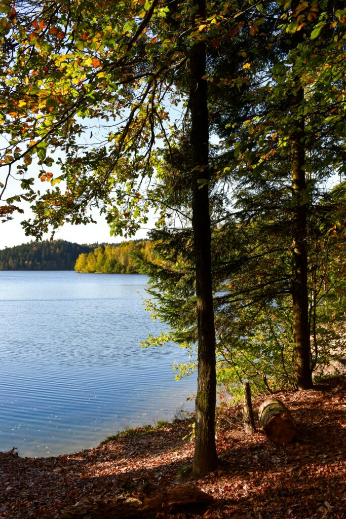 Peaceful view of a lake surrounded by forest in Pierre-Percée, France.