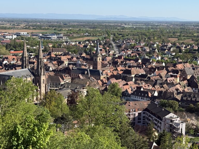 IMG_5917