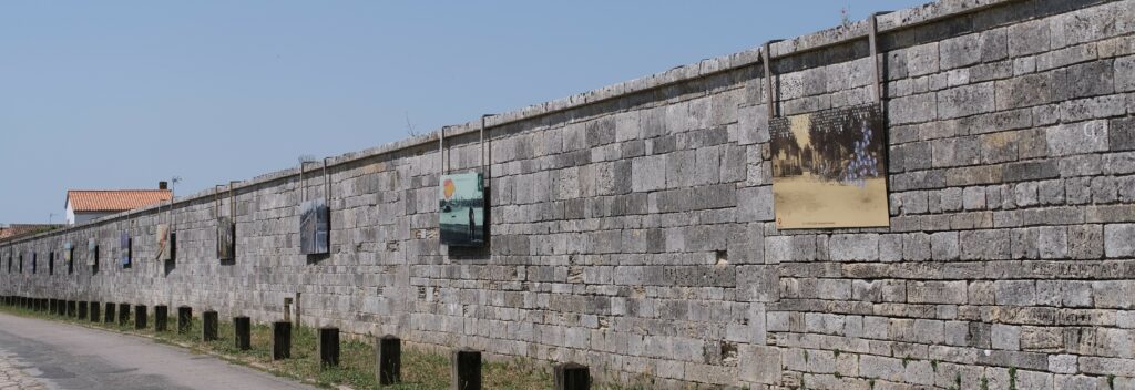 DSCF8275