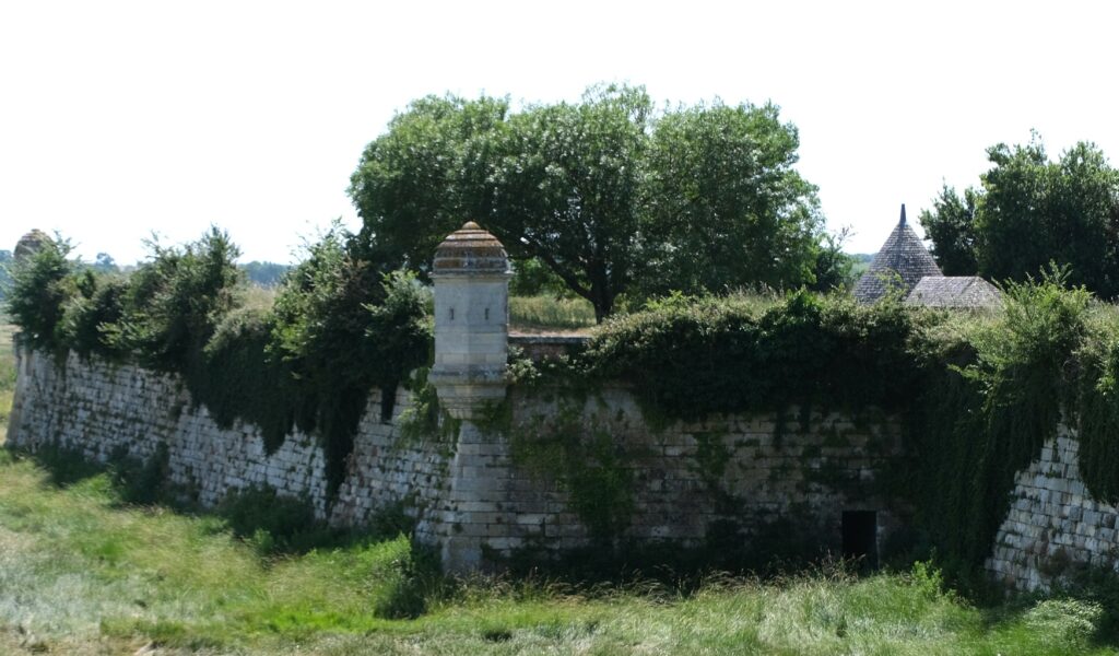 DSCF8278